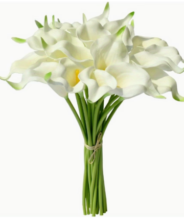 ხელოვნური კალა